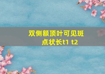 双侧额顶叶可见斑点状长t1 t2